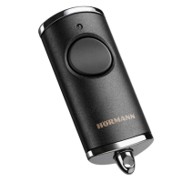HORMANN HSE 1 BS черный матовый хром