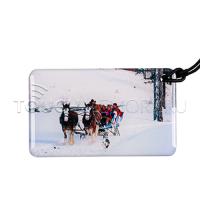 T5577 ЗИМА EPOXY